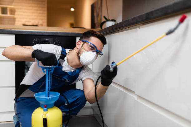 Best Rat Extermination Near Me  in Iowa City, IA