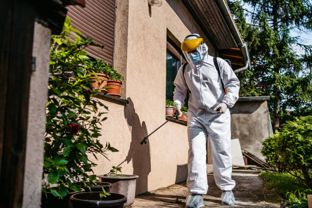 Best Best Pest Control Companies  in Iowa City, IA