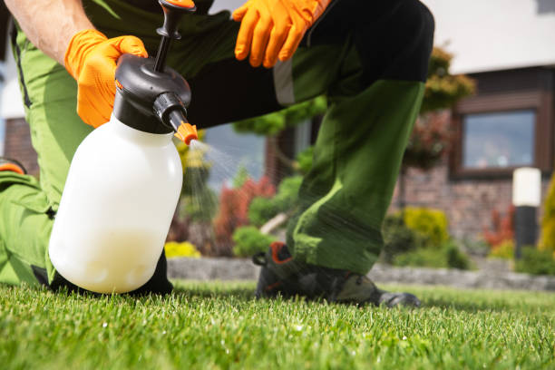 Best Pest Control Near Me  in Iowa City, IA