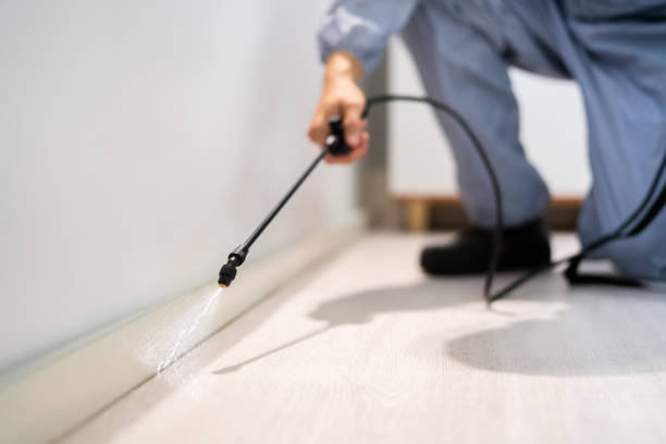 Best Pest Inspection Near Me  in Iowa City, IA