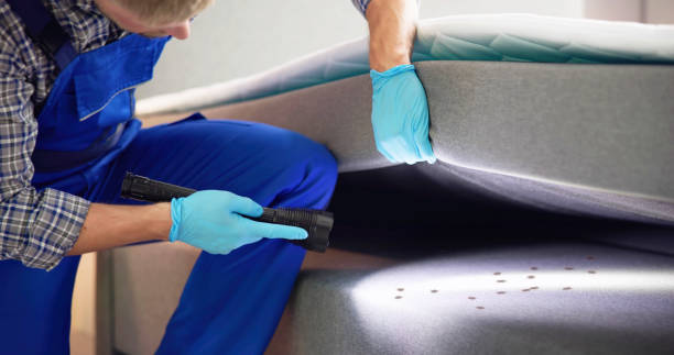 Best Residential Pest Control  in Iowa City, IA