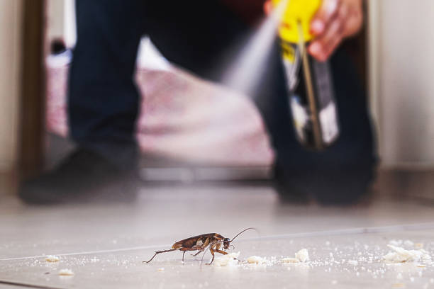 Pest Control Cost in Iowa City, IA